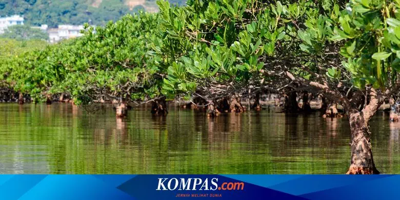 631ef8a178b8c - 5 Alasan Mengapa Perayaan Tanggal 2 Februari 2024 Menjadi Momem Eksklusif Tahun Ini