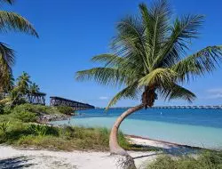 Panduan Lengkap Bahia Honda State Park: Tur Perahu, Berkemah [2024]