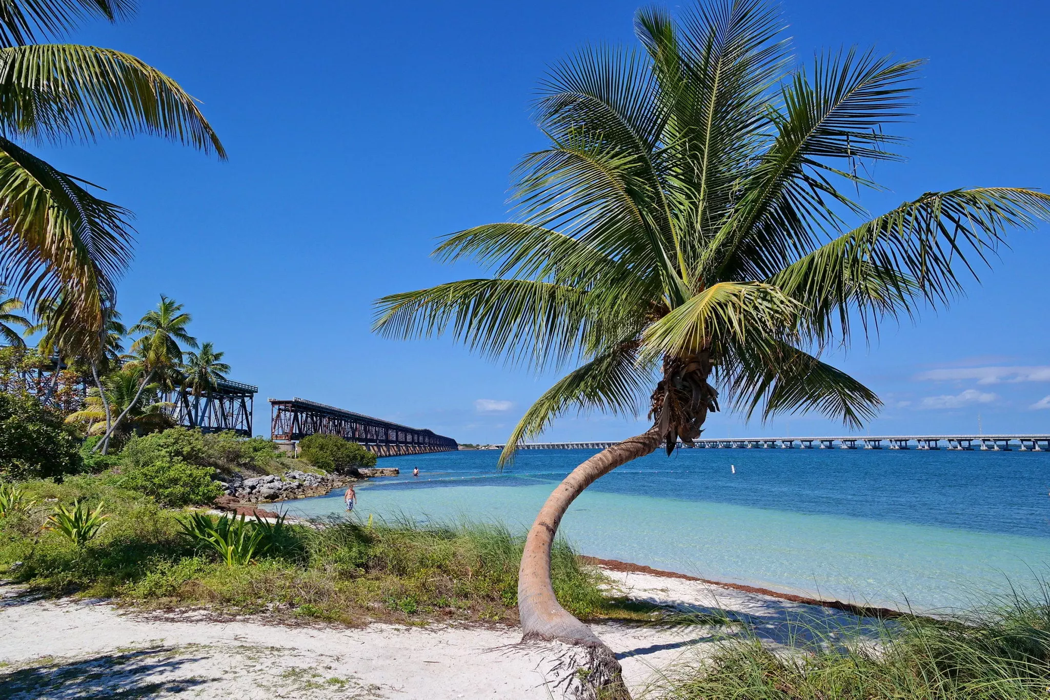 Bahia Honda State Park Guide - Panduan Lengkap Bahia Honda State Park: Tur Perahu, Berkemah [2024]