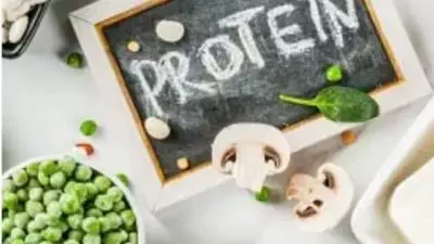 Hari Protein Dunia: Sumber Protein Terjangkau – Tips Mengelola Keuangan