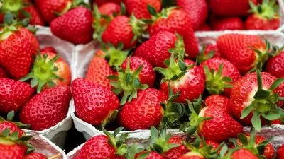 strawberries 1396330 1280 - 10 Fobia Paling Umum yang Dialami Penduduk New York