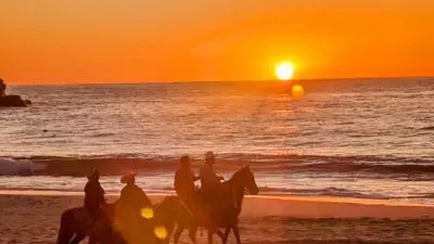 Todos Santos h 1024x576 - Panduan Wisata Petualangan ke Kota Pantai Terbaik di Baja Yang Wajib Dikunjungi