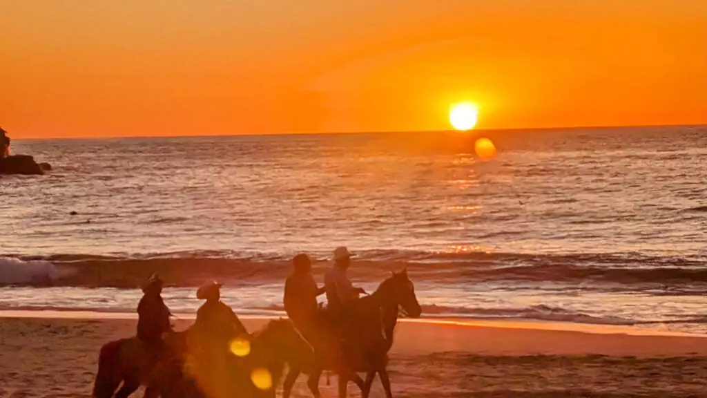 Todos Santos h - Panduan Wisata Petualangan ke Kota Pantai Terbaik di Baja Yang Wajib Dikunjungi