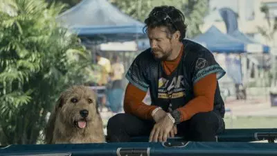 Menang Menyenangkan dengan Drama Anjing yang Mengharukan dari Mark Wahlberg