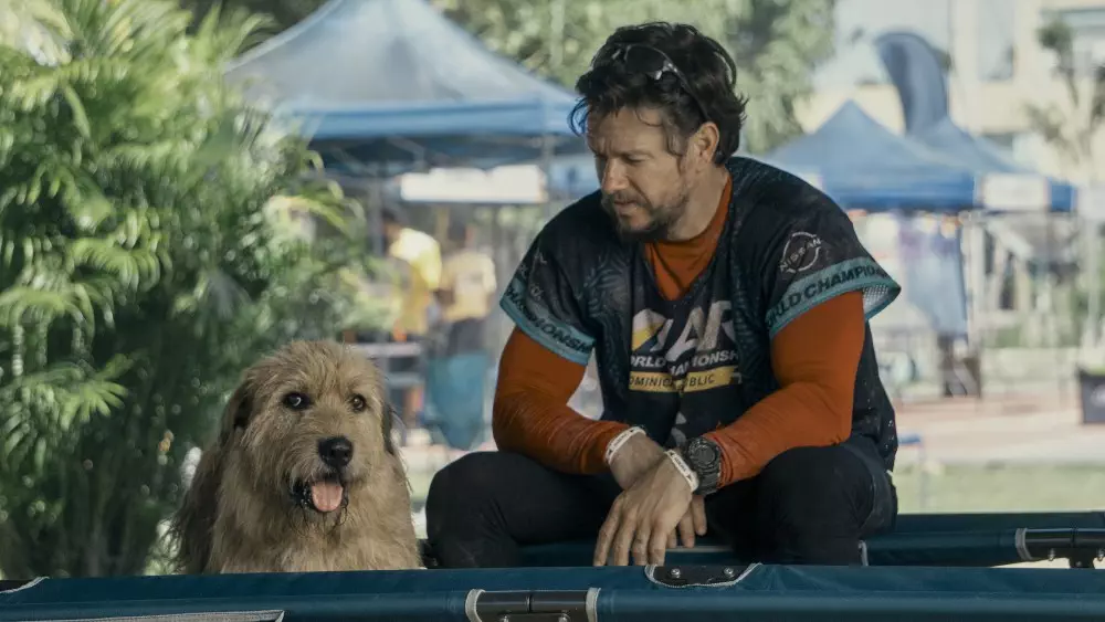 arthur the king ATK 02174RC rgb - Menang Menyenangkan dengan Drama Anjing yang Mengharukan dari Mark Wahlberg