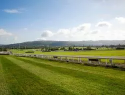 Panduan Perjalanan Cheltenham Festival 2024 – Aktivitas Seru, Penginapan Terbaik, dan Tips Transportasi yang Harus Diketahui