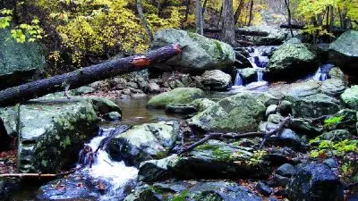 5 Alasan Mengapa Shenandoah National Park adalah Destinasi Wisata Terbaik di Amerika