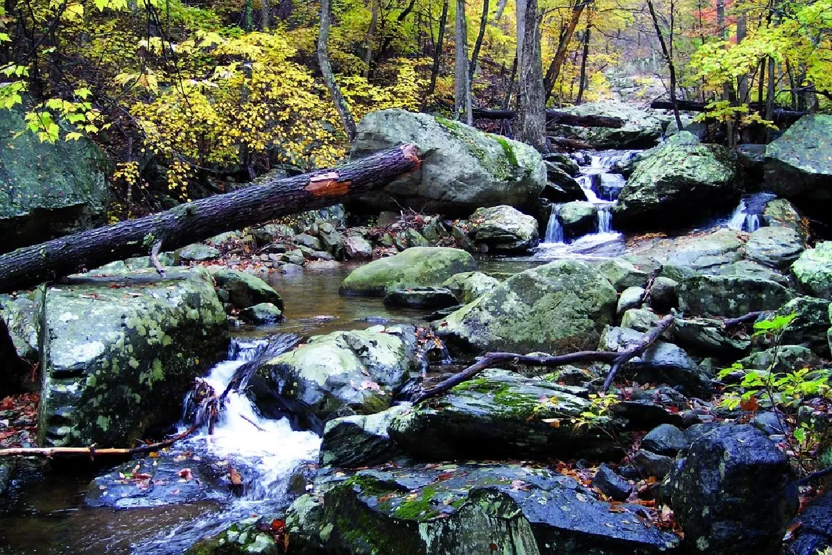 Shenandoah National Park Whiteoak Canyon Trail SNP public domain - 5 Alasan Mengapa Shenandoah National Park adalah Destinasi Wisata Terbaik di Amerika