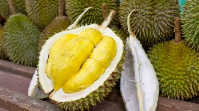 Durian: 5 Manfaat Kesehatan Buah Raja Buah-buahan