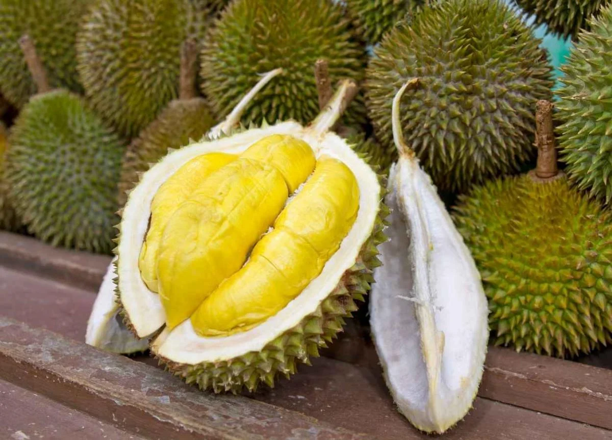 durian the king of fruits for health.webp - Durian: 5 Manfaat Kesehatan Buah Raja Buah-buahan