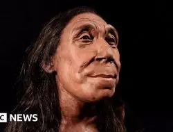 Wajah Wanita Neanderthal Berusia 75.000 tahun Terungkap: Misteri yang Terpecahkan!