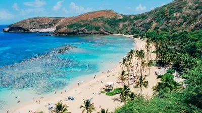 A beach near Honolulu Hawaii - Panduan Lengkap Memilih Booking Langsung atau Melalui Pihak Ketiga untuk Perjalanan Wisata yang Lebih Menguntungkan