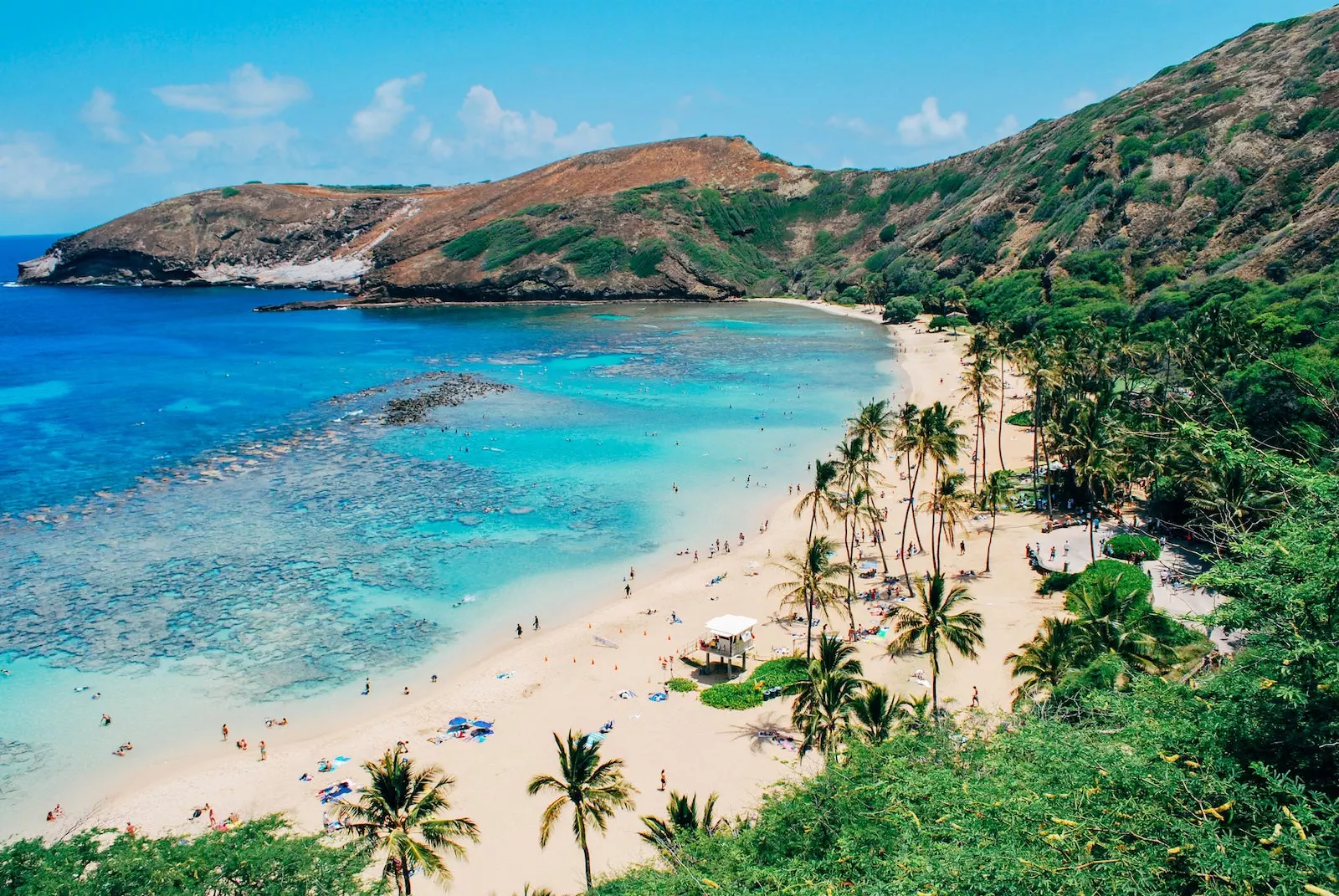 A beach near Honolulu Hawaii - Panduan Lengkap Memilih Booking Langsung atau Melalui Pihak Ketiga untuk Perjalanan Wisata yang Lebih Menguntungkan