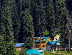 Panduan Wisata ke Kashmir: Yang Perlu Anda Ketahui Sebelum Berkunjung ke Kashmir | Tips Wisata ke Kashmir | Daftar Perlengkapan untuk Liburan ke Kashmir – News9 LIVE