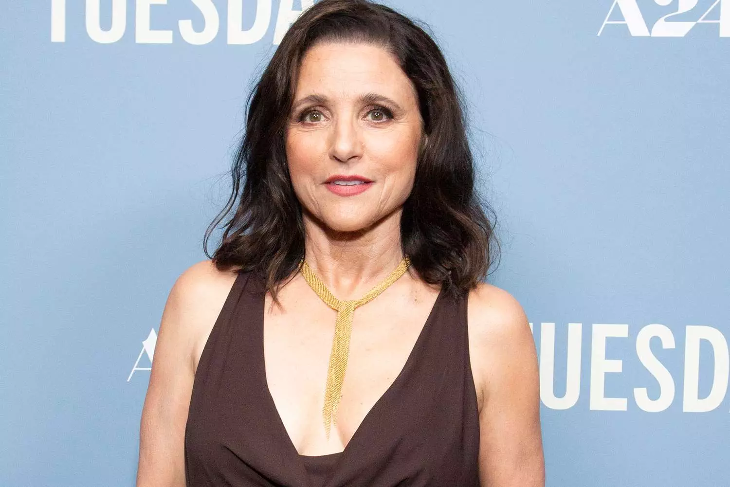 julia louis dreyfus 060924 adb1db8e081e46fbab93d0395eafd199 - Julia-Louis Dreyfus Mendukung Political Correctness dalam Komedi: Alasan Mengapa Hal Ini Penting!